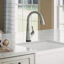 Elkay Lustrous Steel Single Handle Lever Water Filter Faucet 