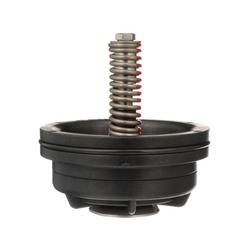 2-1/2 - 3 in. First Check Valve Repair Kit