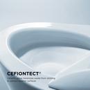 1.28 gpf Elongated One Piece Toilet in Cotton 