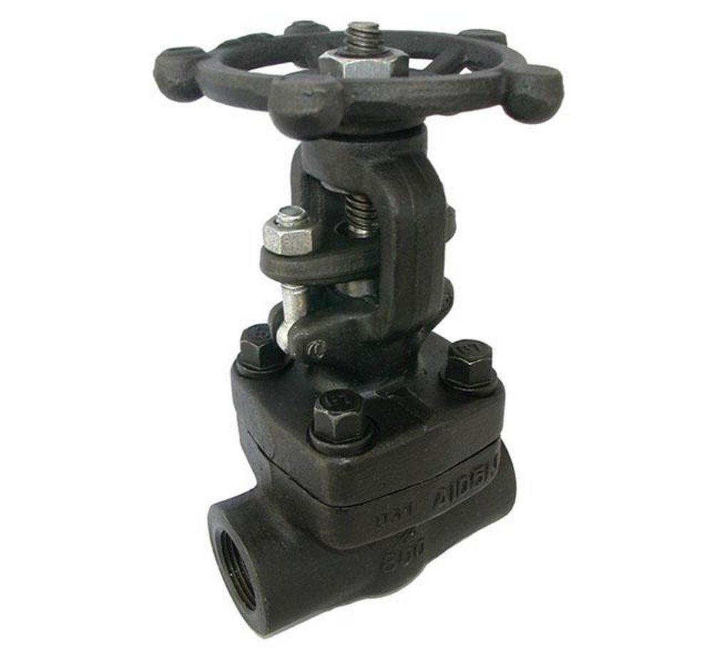 Fortune Valve Forged Carbon Steel Gate Valve 