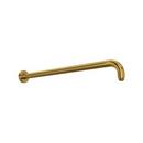 1/2 x 20-13/16 in. MNPT Brass Shower Arm in Unlacquered Brass