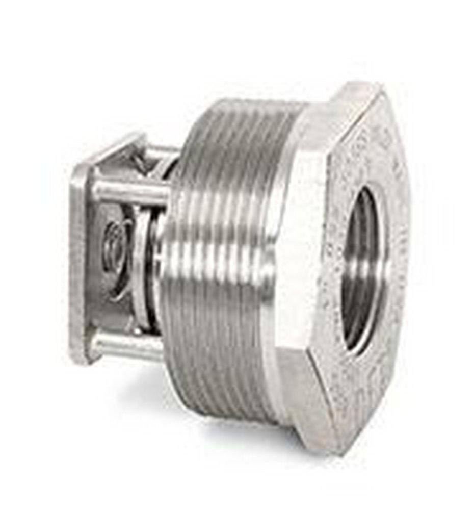 DFT Stainless Steel FNPT x MNPT Check Valve 