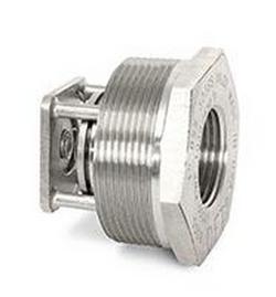 2 in. Stainless Steel FNPT x MNPT Check Valve