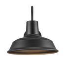 60W 1-Light 12-1/2 in. Wall Sconce in Black