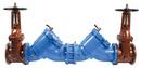 8 in. Cast Iron Reduced Pressure Domestic Backflow Preventer with Outside Stem & Yoke Shutoff 