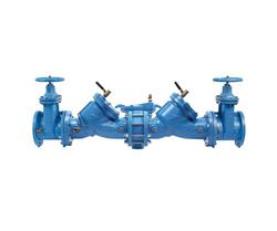 4 in. Cast Iron Flanged Backflow Preventer