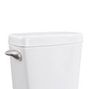 Brushed Nickel Universal Tank Lever 