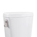 Brushed Nickel Universal Tank Lever 