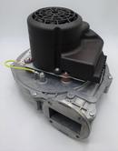 BLOWER, EBM RG148 (300W) 150-200 MBH ALTA/PHTM II/GHE II 