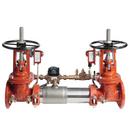 Ames Fire & Waterworks Stainless Steel Flanged Backflow Preventer 