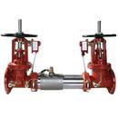 Ames Fire & Waterworks Stainless Steel Flanged 175 psi Backflow Preventer 