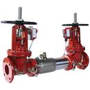 3 in. Stainless Steel Flanged 175 psi Backflow Preventer