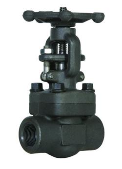 3/8 in. Carbon Steel Socket Weld Gate Valve