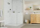 Hansgrohe Brushed Nickel Multi Function Hand Shower 