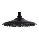 Signature Hardware Matte Black Single Function Showerhead 