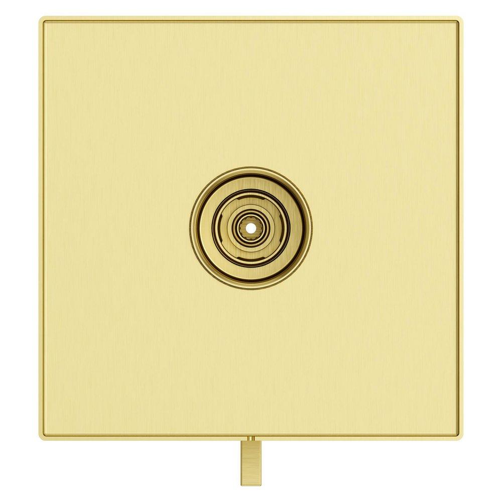 Pfister Brushed Gold Single Handle Bathtub & Shower Faucet (Trim Only) 