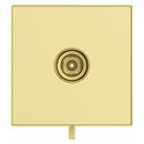 Pfister Brushed Gold Single Handle Bathtub & Shower Faucet (Trim Only) 