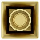 Pfister Brushed Gold No Handle Multi Function Bathtub & Shower Faucet (Trim Only) 