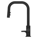 ZANNA 1-HANDLE PULL-DOWN KITC FAUCET IN MATTE BLACK 