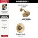 One Handle Single Function Shower Faucet in Champagne Bronze (Trim Only) 
