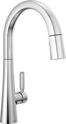 Single Handle Pull Down Kitchen Faucet in Lumicoat Chrome