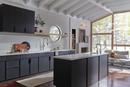 Brizo Luxe Steel Pull Down Kitchen Faucet 