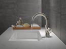 Single Handle Monoblock Bathroom Sink Faucet in Brilliance&reg; Stainless 
