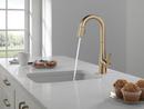Delta Faucet Lumicoat Champagne Bronze Single Handle Pull Down Bar Faucet 