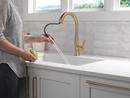 Delta Faucet Lumicoat Champagne Bronze Single Handle Pull Down Kitchen Faucet 