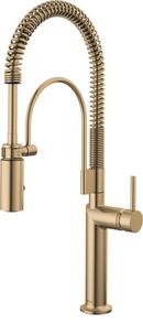 Brizo Luxe Gold Pull Down Kitchen Faucet 