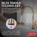 Delta Faucet Lumicoat Champagne Bronze Single Handle Pull Down Kitchen Faucet 