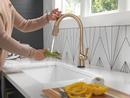 Delta Faucet Lumicoat Champagne Bronze Single Handle Pull Down Kitchen Faucet 