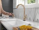 Delta Faucet Lumicoat Champagne Bronze Single Handle Pull Down Kitchen Faucet 
