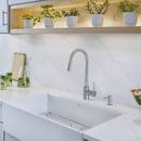 DXV Polished Chrome Pull Down Kitchen Faucet 