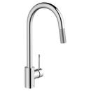 Pull Down Kitchen Faucet in Polished Chrome
