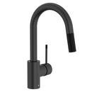 Single Handle Pull Down Bar Faucet in Matte Black