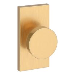 Dummy Knob in Lifetime PVD Satin Brass