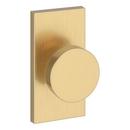 Dummy Knob in Lifetime PVD Satin Brass
