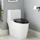 1.28 gpf Elongated One Piece Toilet in White with Black