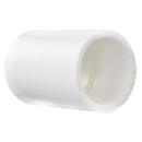 CHARLOTTE PIPE White PVC Schedule 40 Nested Coupling (Over 1/2 