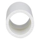 CHARLOTTE PIPE White PVC Schedule 40 Deep Socket Coupling 