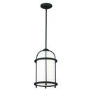 100W 1-Light Medium E-26 Incandescent Pendant Light in Textured Black