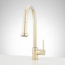 Single Handle Pull Down Kitchen Faucet in Polished Brass 