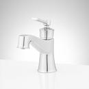 Single Handle Monoblock Bathroom Sink Faucet in Polished Chrome