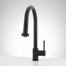Signature Hardware Matte Black Single Handle Pull Down Kitchen Faucet 