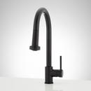 Signature Hardware Matte Black Pull Down Kitchen Faucet 