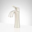 Single Handle Monoblock Bathroom Sink Faucet in Chrome 