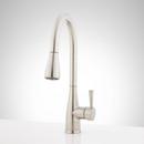 Signature Hardware Stainless Steel Pull Down Kitchen Faucet 