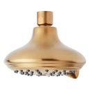 Multi Function Showerhead in Brushed Gold 