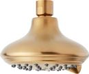 Multi Function Showerhead in Brushed Gold 